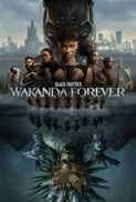 Black Panther - Wakanda Forever (2022) FullHD 1080p ITA E-AC3 ENG DTS+AC3 Subs.mkv