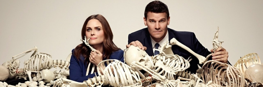 Bones S04E12 HDTV XviD-NoTV.avi